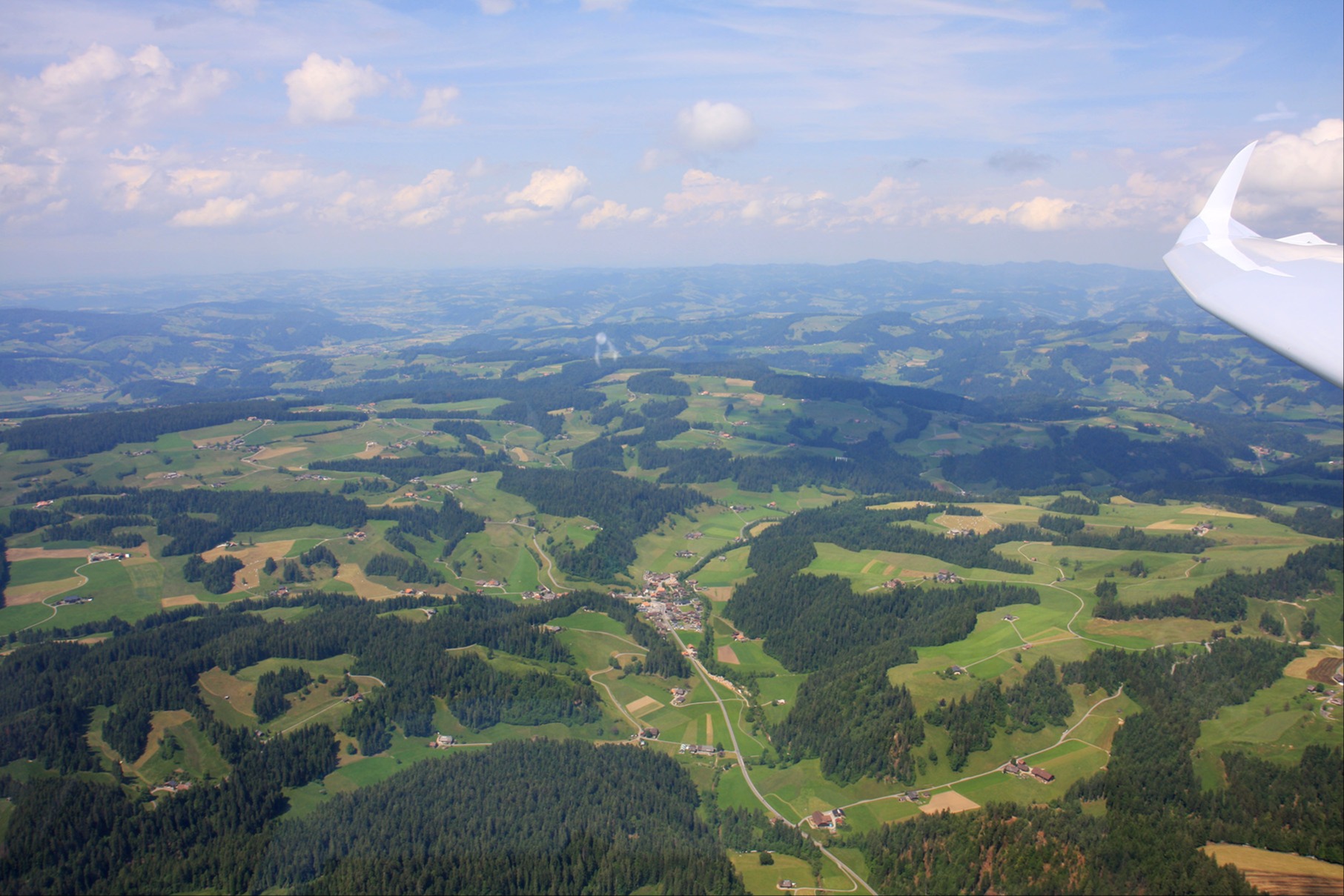 Frei wie ein Vogel