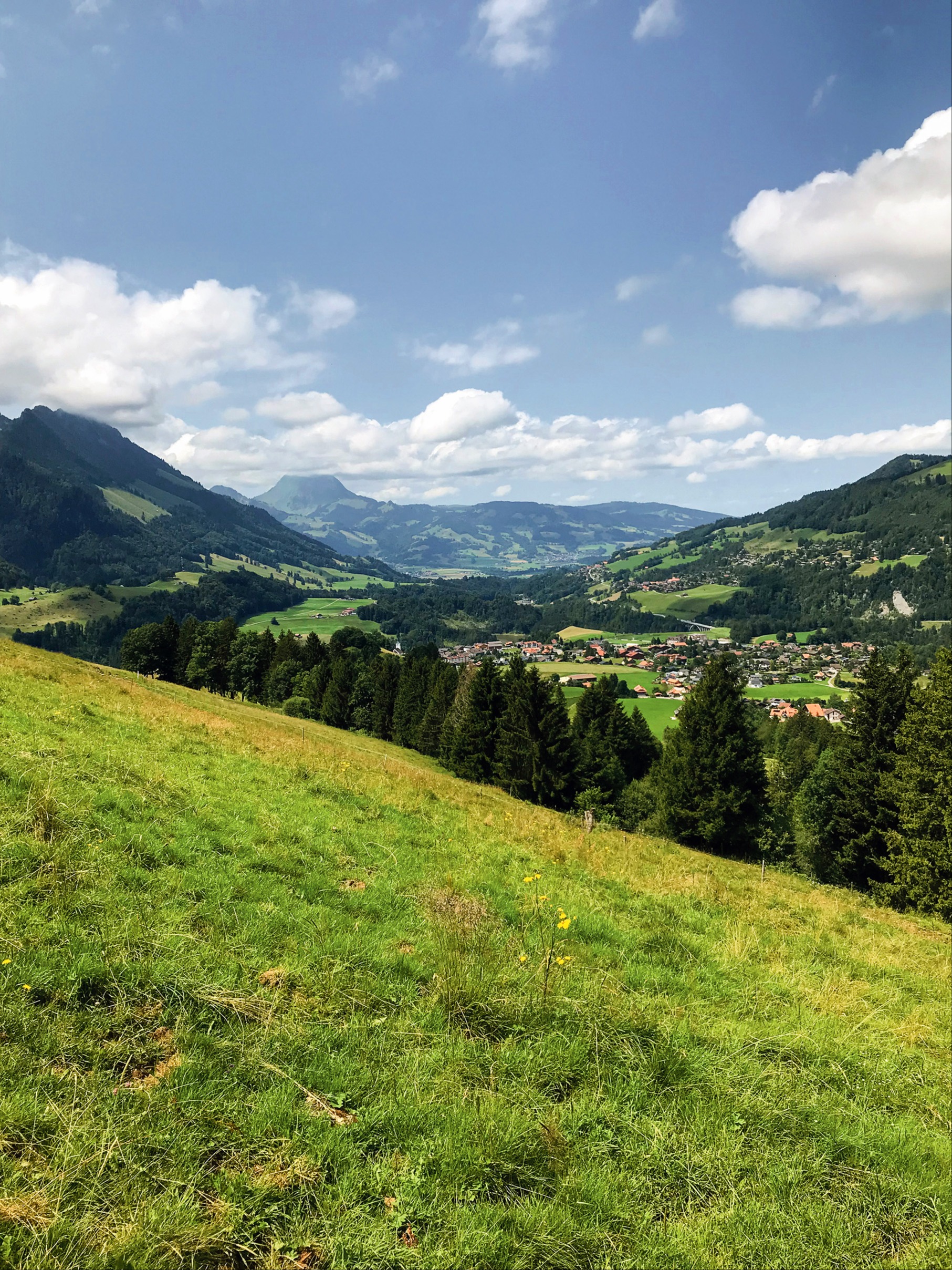 Der Blick ins Tal und auf den Moléson