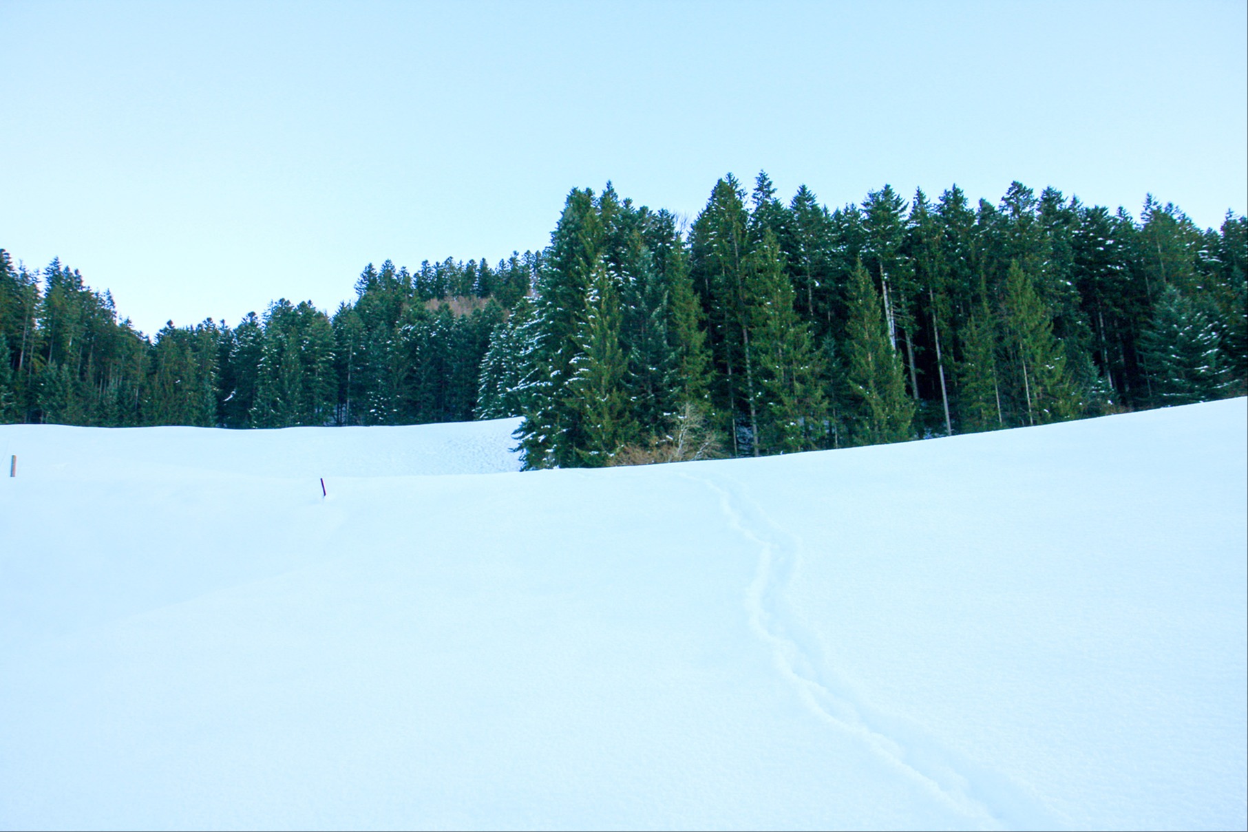 Sie waren die Stillen im Land